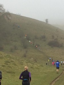 Hill in wiltshire larmer tree races